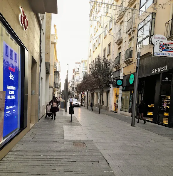 Alejandro Fernández Almazán - Estanco en Badajoz - foto 2
