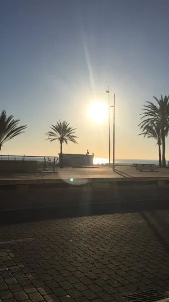 Estanco Playa Gandia ALBATROS