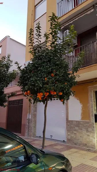 Estanco Vilella