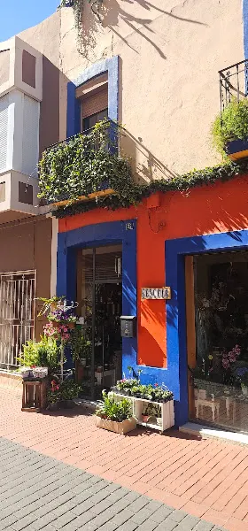 Tabacos