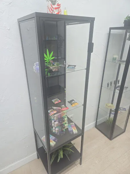 CBD Madrid Chamberí - Mr Weed CBD & vape shop