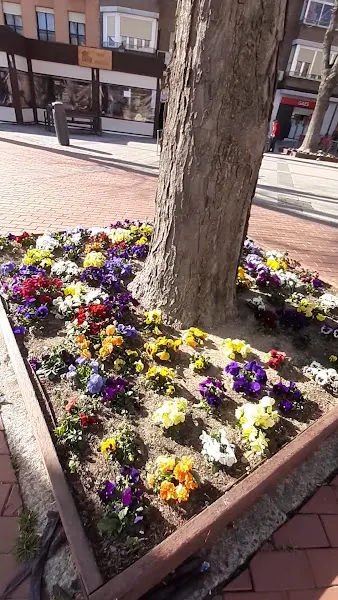 Expendeduria Número 422 - Estanco en Madrid - foto 2
