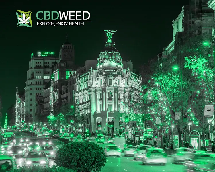 CBD WEED