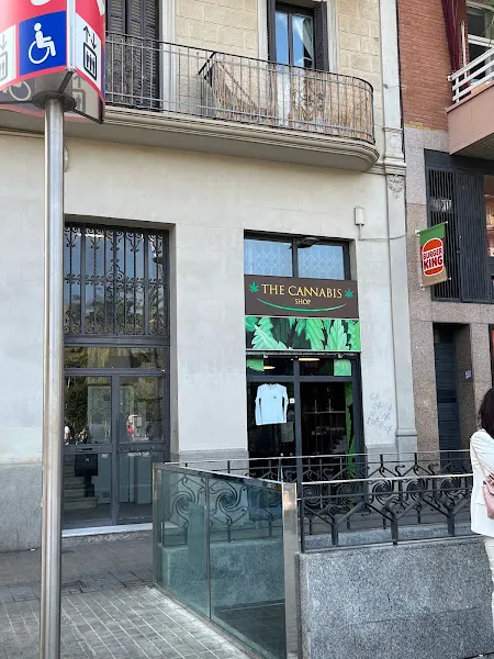 Tabacos Estanco Nº 47